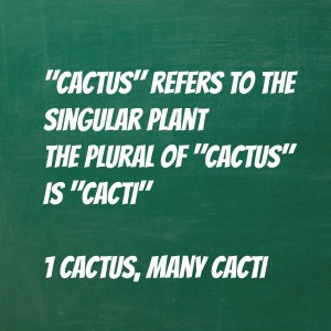 cactus