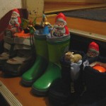 nikolaus stiefel